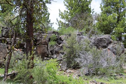 Property in Modoc County, California