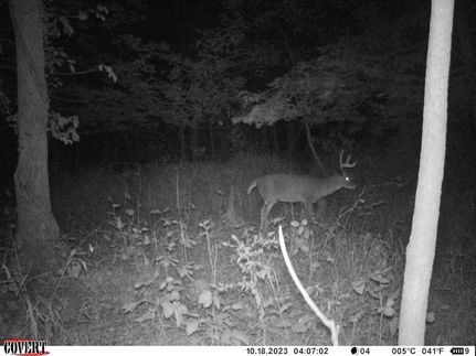 Property in Lawrence County, Illinois