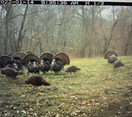 Property in Howard County, Missouri