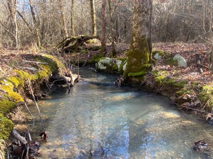 Hunting Land for sale in Pike County, Arkansas