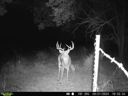 Property in Chautauqua County, Kansas