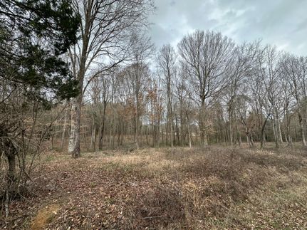 Property in Scott County, Mississippi