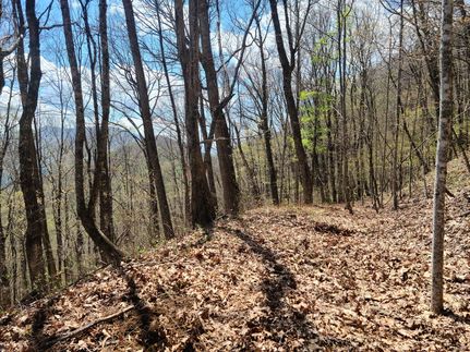 Property for sale in Haywood County, North Carolina