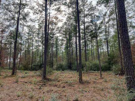 Property in Walker County, Texas