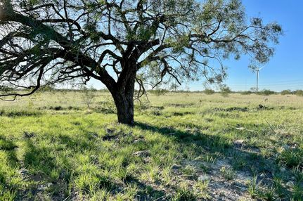 Property in Schleicher County, Texas