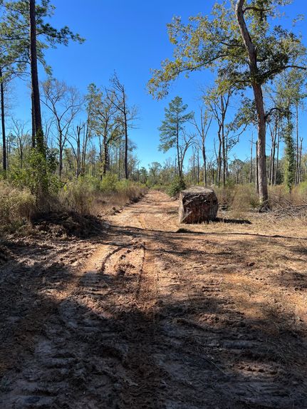 Timberland Property for sale in Angelina County, Texas