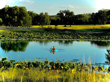 Hunting Land for sale in Comanche County, Texas