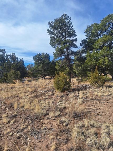 Undeveloped Land for sale in Cibola County, New Mexico
