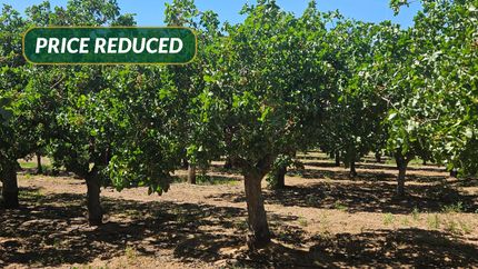 Property for sale in Madera County, California