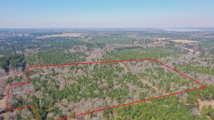 Hunting Land for sale in Marion County, Texas