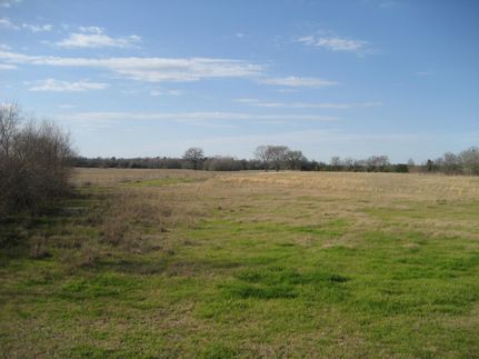 Property for sale in Houston County, Texas