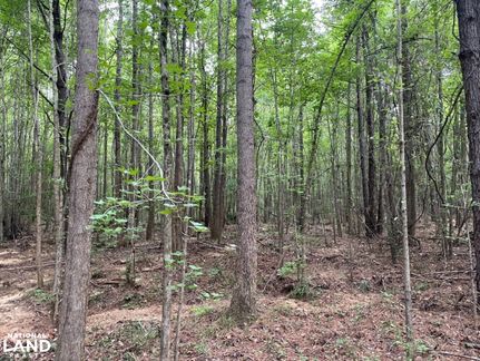 Property in Marion County, Alabama