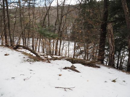 Property in Otsego County, New York