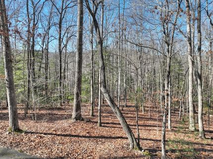 Property in Fannin County, Georgia