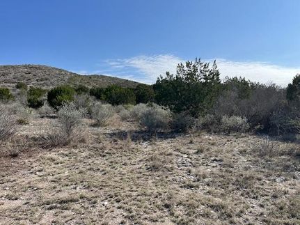 Undeveloped Land for sale in Uvalde County, Texas