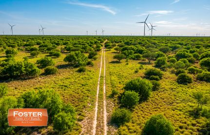 Property for sale in Hidalgo County, Texas