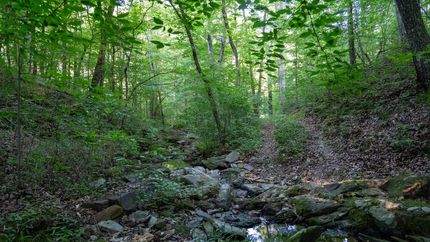 Property in Talladega County, Alabama