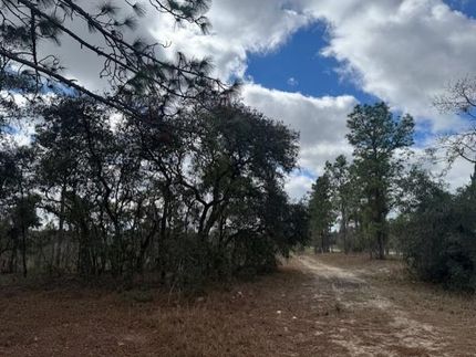 Farm Property for sale in Levy County, Florida