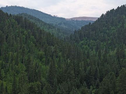 Property for sale in Lawrence County, South Dakota