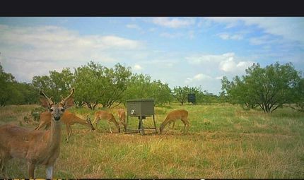 Property for sale in Callahan County, Texas