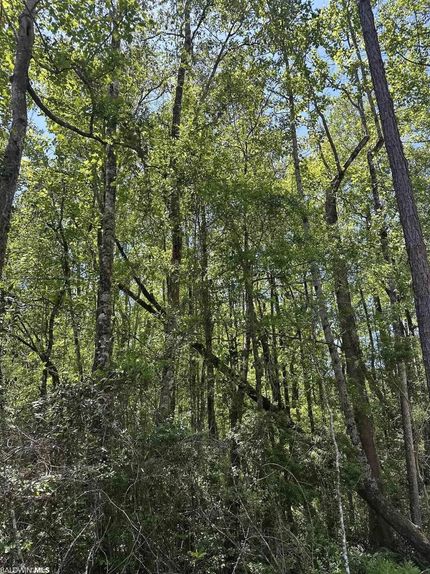 Property in Escambia County, Alabama