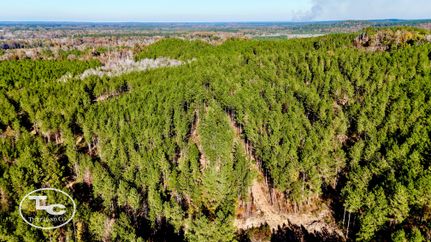 Property for sale in Sumter County, Alabama