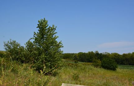 Property in Douglas County, Kansas