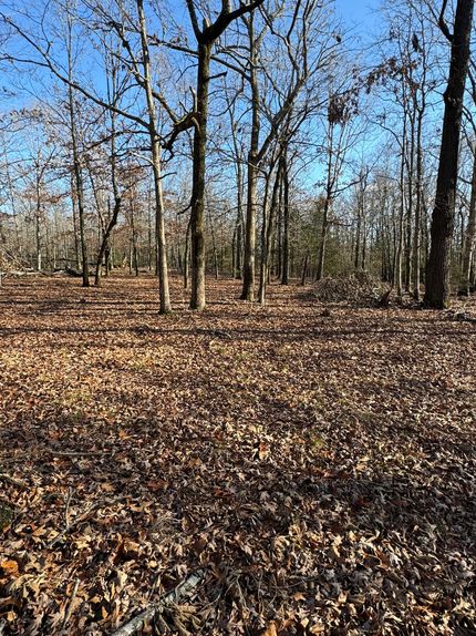 Property in Randolph County, Arkansas