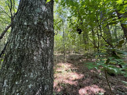 Property in Chambers County, Alabama