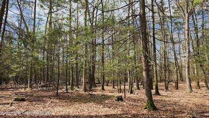 Property in Ulster County, New York