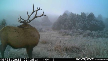 Property in Rio Arriba County, New Mexico