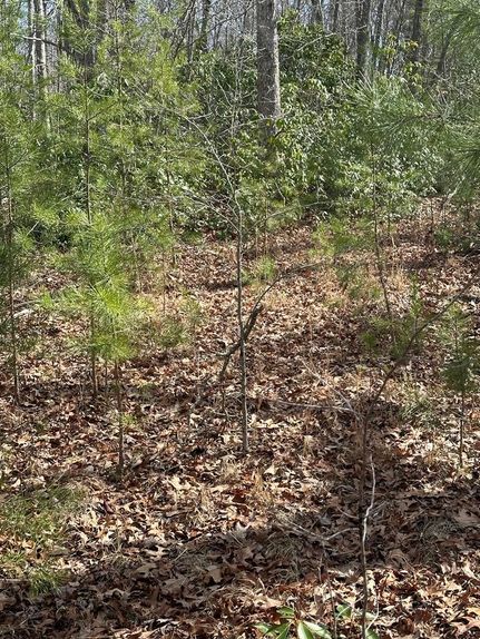 Property for sale in Fentress County, Tennessee