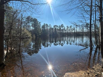 Property for sale in Marion County, Georgia