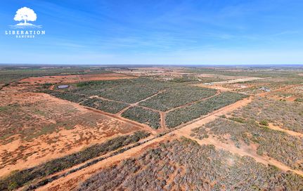 Property for sale in Atascosa County, Texas