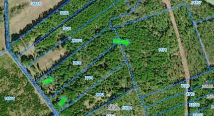 Property for sale in Houston County, Texas