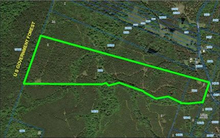 Hunting Land for sale in Houston County, Texas