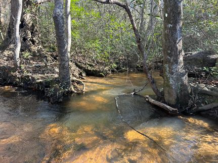 Property for sale in Taylor County, Georgia