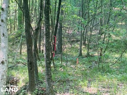 Property in Kershaw County, South Carolina