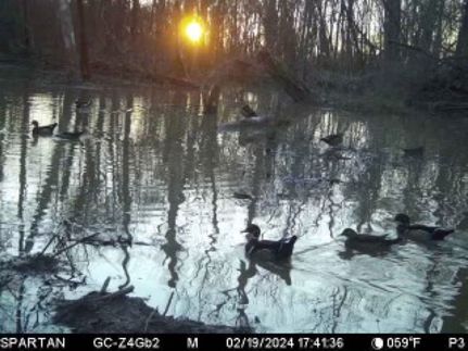 Property in Jefferson County, Arkansas