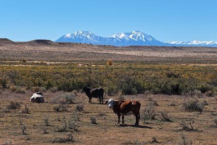 Property for sale in Huerfano County, Colorado