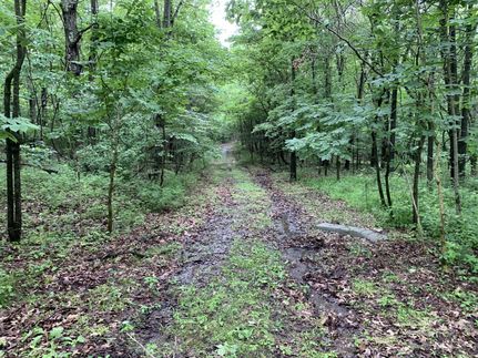 Property in Hamilton County, Illinois