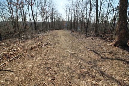 Property for sale in Madison County, Missouri