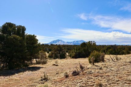Undeveloped Land for sale in Huerfano County, Colorado