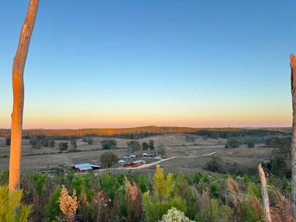 Property for sale in Fayette County, Alabama