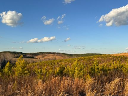 Property for sale in Fayette County, Alabama