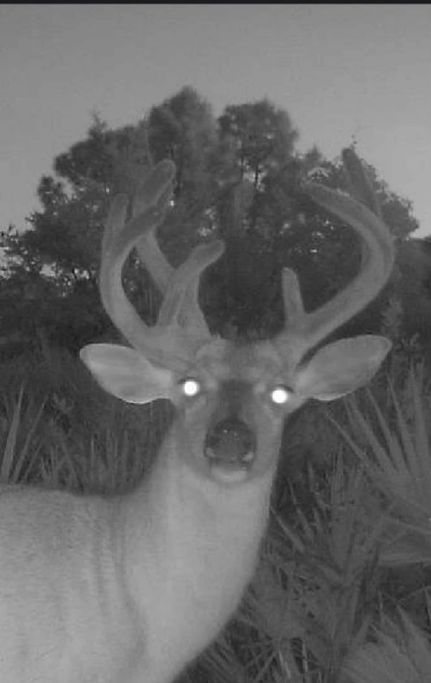 Property in Glades County, Florida