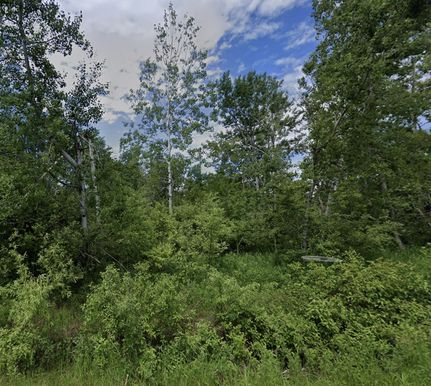 Property for sale in Iosco County, Michigan