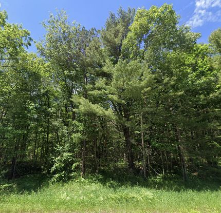 Undeveloped Land for sale in Iosco County, Michigan