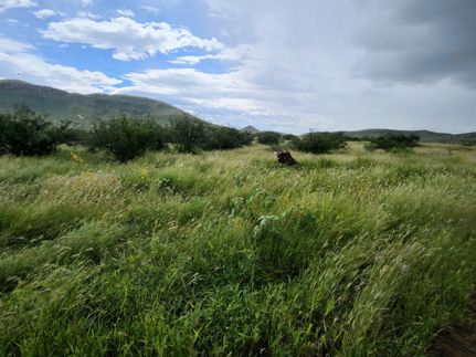 Property for sale in Cochise County, Arizona