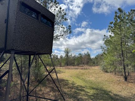 Property for sale in Rapides Parish, Louisiana